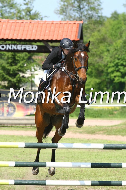 204M3108_Samba Pa Ti_Springpfe_Axx.JPG